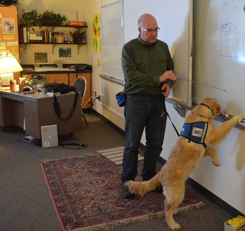 Mr. Dart, language arts, brings his dog, Brick, to class.