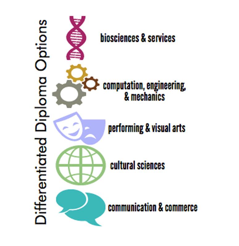 Differentiated diploma allows choice