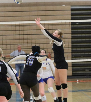 Preview: Volleyball takes on Roseville