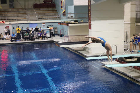 Gallery%3A+State+Diving+Championship