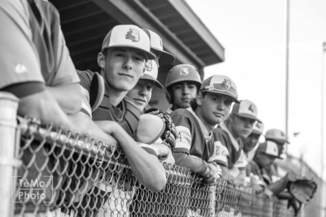 Update: Baseball goes 7-3 in first half of season, now prepares for the final stretch