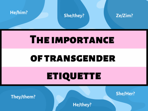 Elliot Page and the importance of accepting pronouns